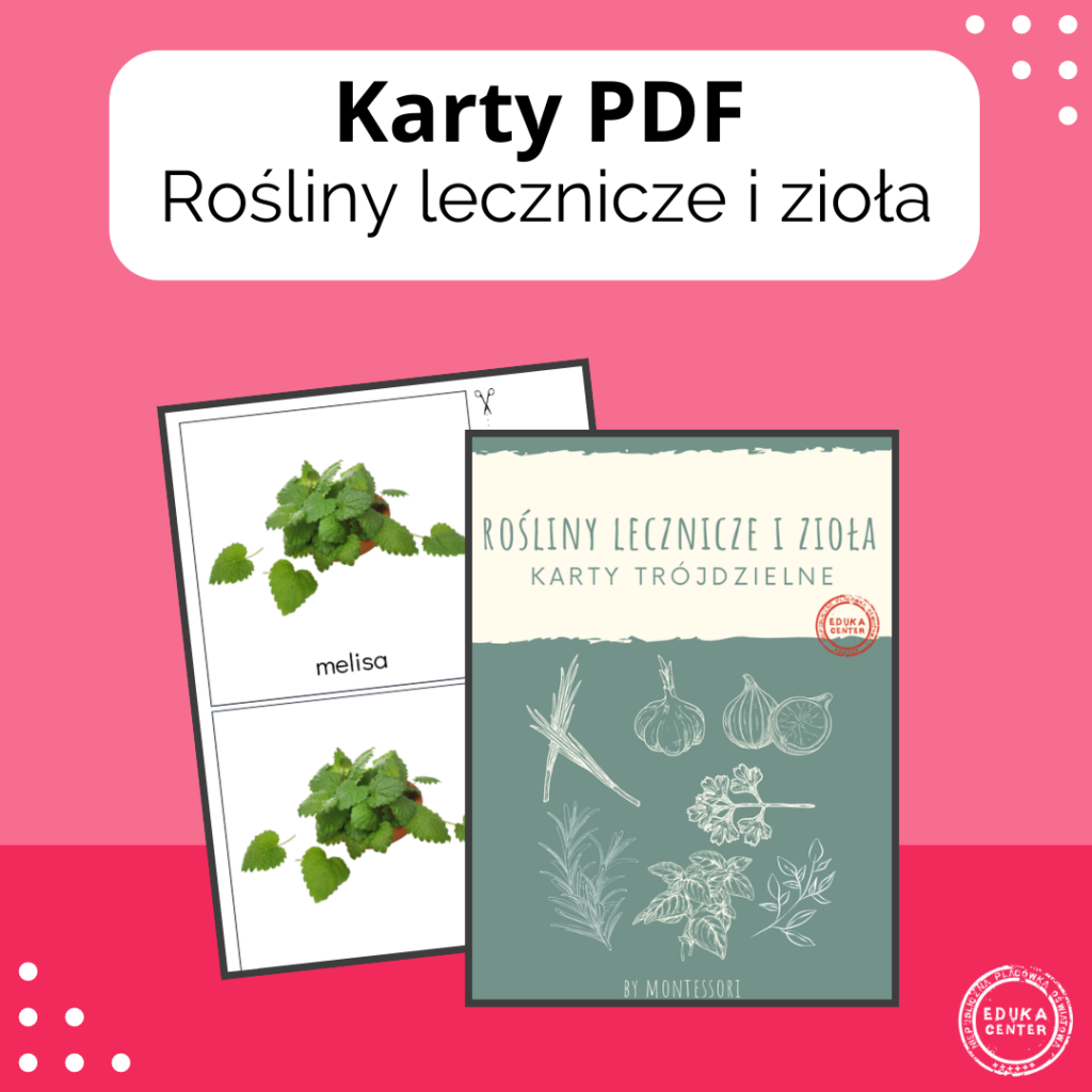 Rośliny lecznicze i zioła - karty trójdzielne - Platforma e-learningowa