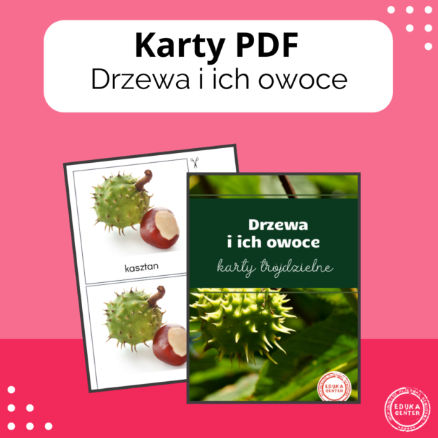 Drzewa i ich owoce - karty trójdzielne - Platforma e-learningowa EDUKA