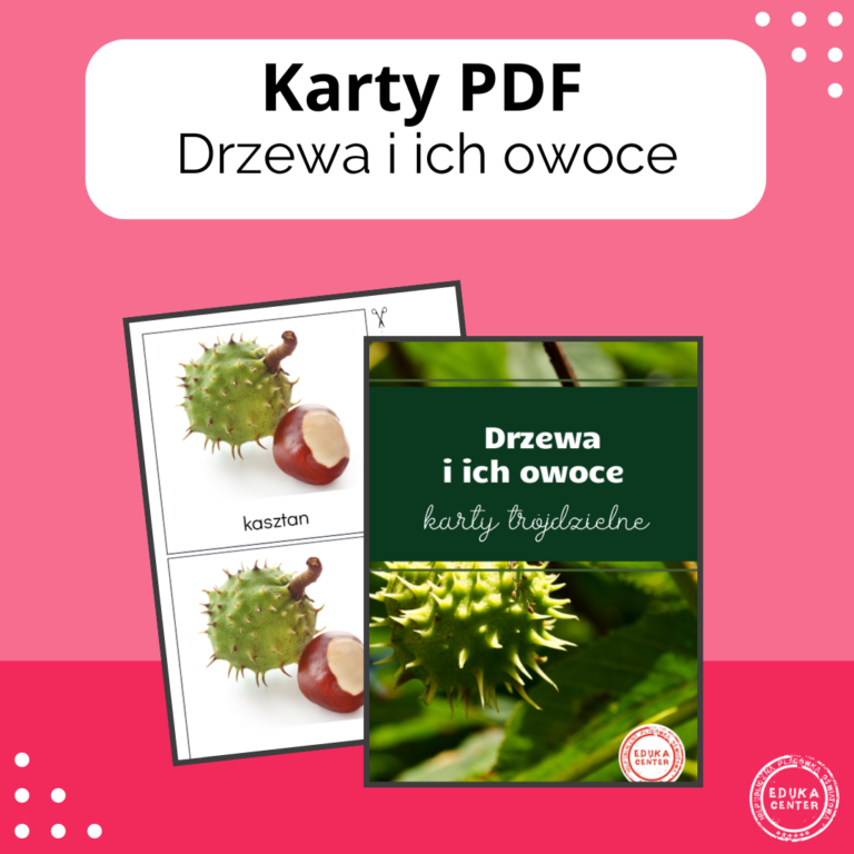 Drzewa i ich owoce - karty trójdzielne - Platforma e-learningowa EDUKA